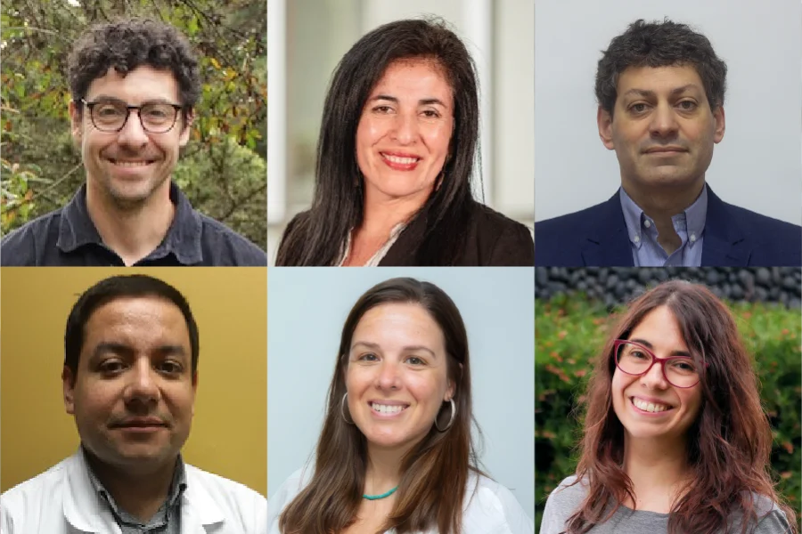 ufro-proyectos-investigacion-diufro-regular-2026
